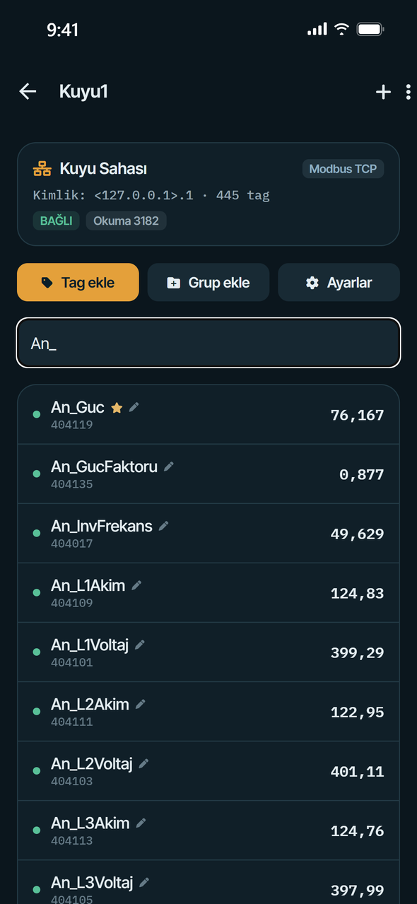 Cihaz sayfası — tag'ler, gruplar ve okuma/yazma sayaçları
